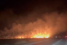 autoturism | MyTex.ro