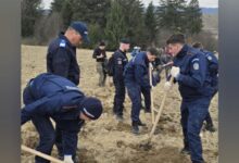 Jandarmii brașoveni și elevi ai școlilor militare, implicați într-o acțiune de plantare de arbori la Vlădeni (VIDEO) 5 CFR Călători anunță modificări în circulația unor trenuri | MyTex.ro