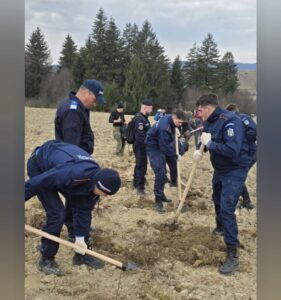 Brașoveni | MyTex.ro