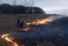 decedat după vizita la dentist | MyTex.ro