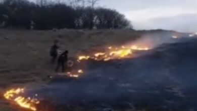 VIDEO. Incendiu la Crizbav, lichidat rapid de jandarmi de la Gruparea Mobilă Brașov și de localnici 9 Turiști | MyTex.ro