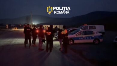 Julia Sauter | MyTex.ro