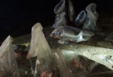 percheziții | MyTex.ro