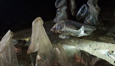 Braconieri prinși în flagrant pe râul Olt, în județul Brașov 7 Brașov | MyTex.ro