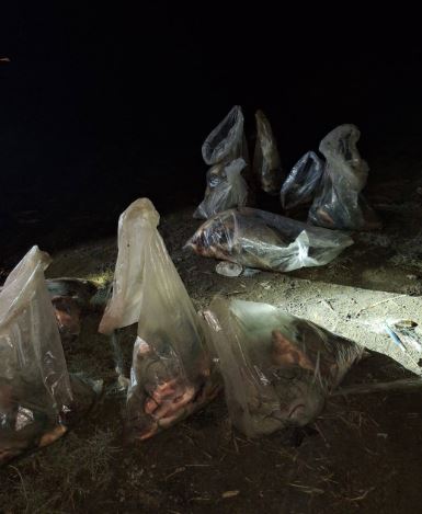 Braconieri prinși în flagrant pe râul Olt, în județul Brașov 3 Olt | MyTex.ro