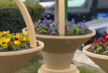 Brașovul „se primenește”: Primăria a dat startul curățeniei de primăvară. Peste 10 specii de plante noi și 14 sensuri giratorii reamenajate 52 Un nou loc de joacă în centrul civic | MyTex.ro