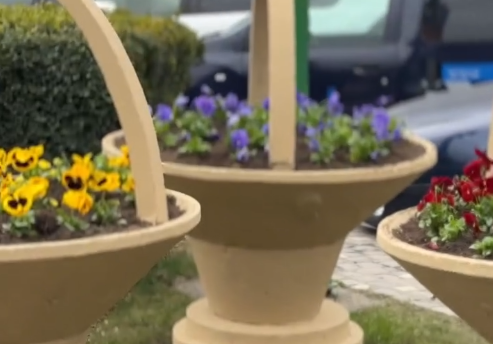 Brașovul „se primenește”: Primăria a dat startul curățeniei de primăvară. Peste 10 specii de plante noi și 14 sensuri giratorii reamenajate 3 braşov | MyTex.ro