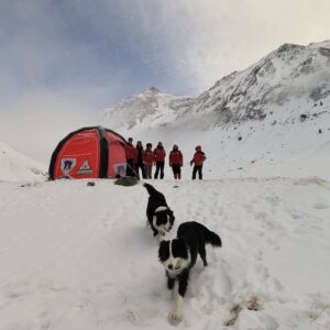 făgăraș | MyTex.ro