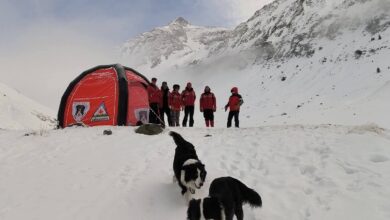 Eroii cu patru lăbuțe intră în „examen” în Munții Făgăraș (foto) 5 | MyTex.ro