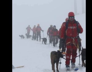 făgăraș | MyTex.ro