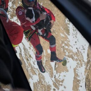 făgăraș | MyTex.ro