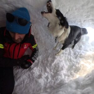 făgăraș | MyTex.ro