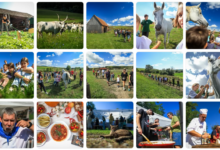 Schi în Poiana Brașov | MyTex.ro