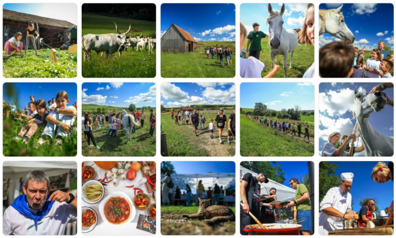 National Geographic | MyTex.ro