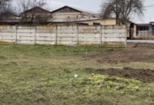 Proiecție interzisă celor sub 18 ani | MyTex.ro