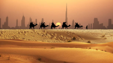 O zi în care rugăciunile fac minuni | MyTex.ro