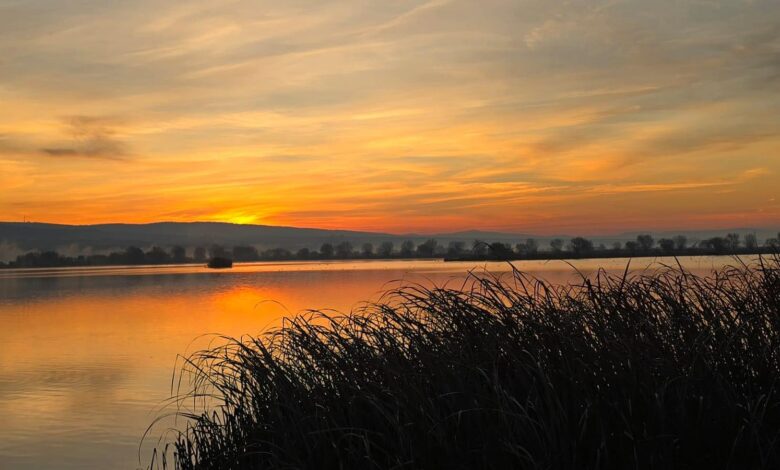 Doripesco | MyTex.ro