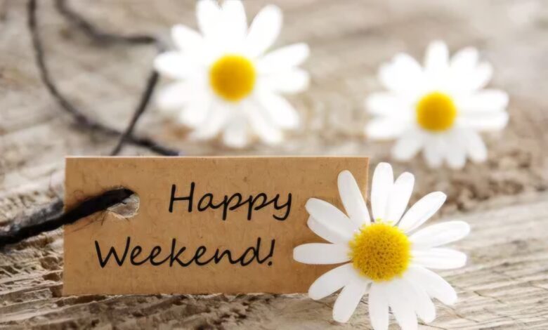 Horoscopul | MyTex.ro