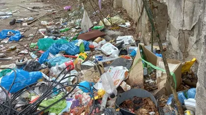 făgăraș | MyTex.ro