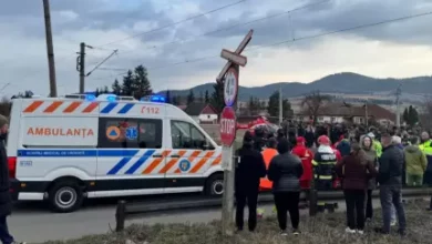 Brașoveni | MyTex.ro