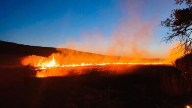 ISU Brașov: 136 de intervenții în doar 3 zile. Zeci de incendii de vegetație 5 | MyTex.ro