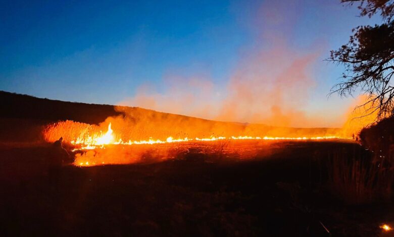 isu brașov | MyTex.ro