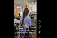 Autobuzele | MyTex.ro