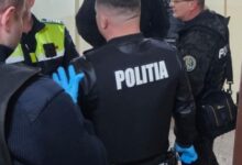 Material lemnos confiscat | MyTex.ro