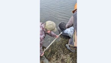 Parcul pe 9 hectare din zona IUS Lubrifin | MyTex.ro