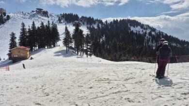 Preț la reducere | MyTex.ro