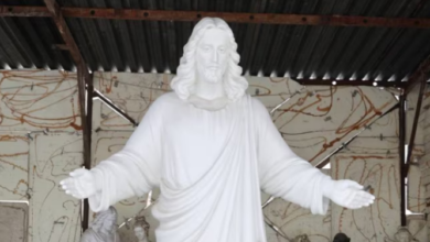 Brașoveni | MyTex.ro