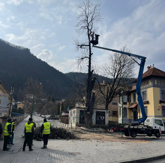 George Scripcaru | MyTex.ro