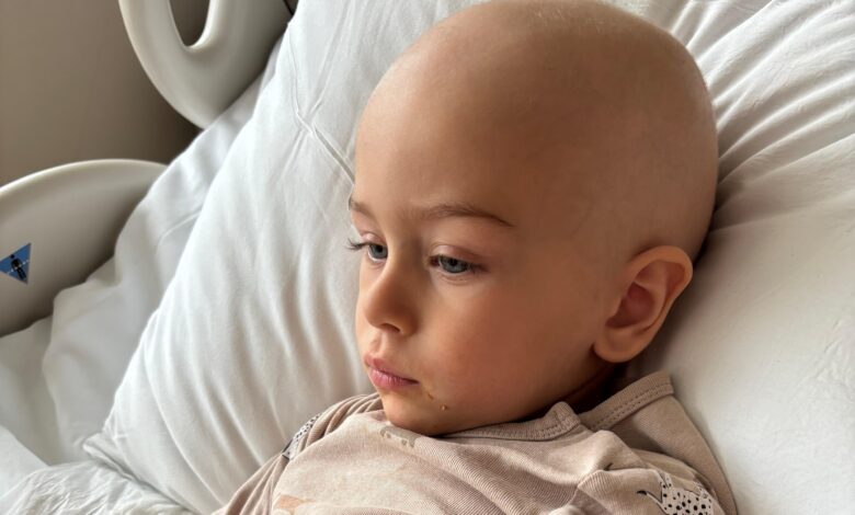 Spectacol caritabil la Moieciu de Sus: zeci de artiști urcă pe scenă pentru a oferi o șansă la viață unui copil grav bolnav 3 Moieciu | MyTex.ro