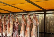 Amenzi de peste 6 milioane de lei: controale ANPC în toată țara și nereguli grave la produse alimentare 4 A murit academicianul Ovidiu Bojor | MyTex.ro