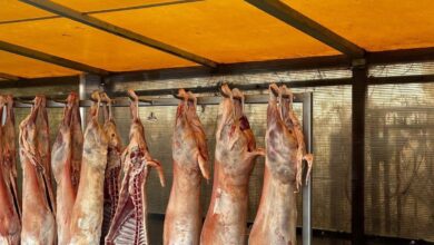 A murit academicianul Ovidiu Bojor | MyTex.ro