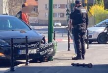 Autoturism intrat în stâlpișorii din fața Primăriei Brașov (foto) 6 brașov | MyTex.ro