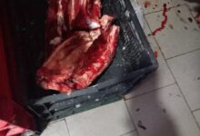 Vinerea Mare | MyTex.ro