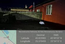 Intervenție neobișnuită în Brașov: o lebădă rătăcită, salvată după o furtună în Feldioara 5 Sâmbăta Mare | MyTex.ro