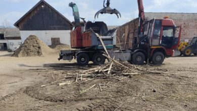 românesc | MyTex.ro