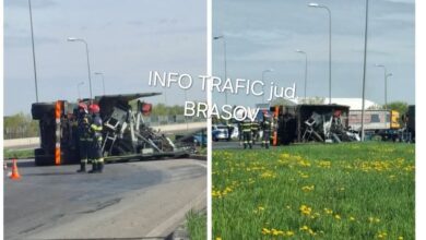 Lucrările | MyTex.ro