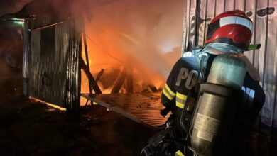 Lucrările | MyTex.ro