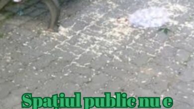 Când începe primăvara astronomică 2025. Cum ne influențează echinocțiul | MyTex.ro