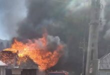 Piatra craiului | MyTex.ro