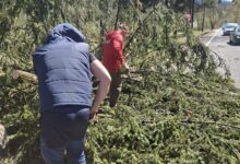 Valoarea tichetelor de masă crește cu | MyTex.ro