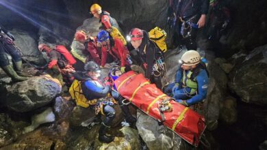 Exercițiu | MyTex.ro