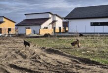 Aeroportul Brașov devine frontieră de stat | MyTex.ro