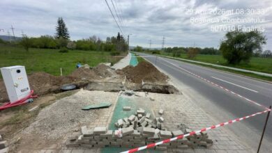 Ruşine | MyTex.ro