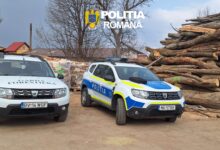 Amenzi de peste 45.000 de lei și lemn confiscat în Brașov: controale pentru protejarea pădurilor 6 Fraudă | MyTex.ro