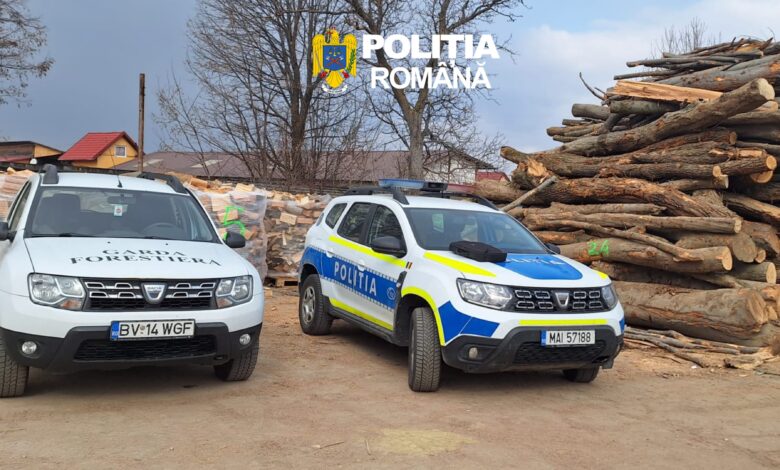 Amenzi de peste 45.000 de lei și lemn confiscat în Brașov: controale pentru protejarea pădurilor 3 Amenzi | MyTex.ro