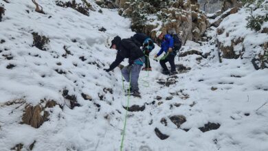 Piatra Craiului | MyTex.ro